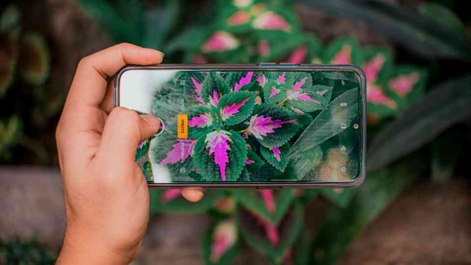 Nothing Phone 3a Lite 5G vs 3a 5G: Key Differences and Specs
